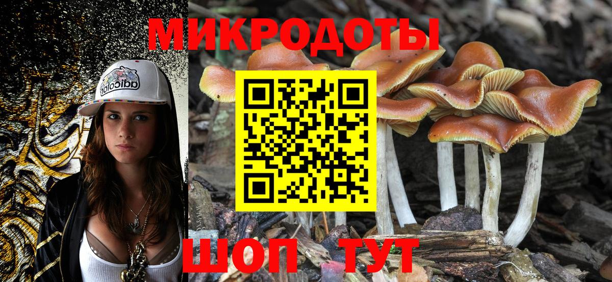 Псилоцибиновые грибы прущие грибы  Псилоцибиновые грибы Psilocybine cubensis  Шелехов  Вход с VPN 